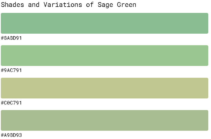 Sage Green 