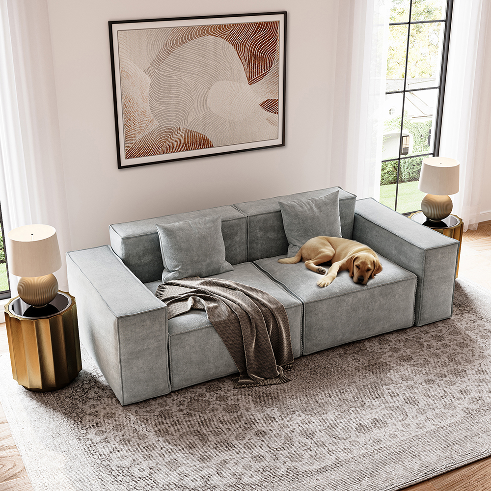 A Comprehensive Guide to Dog-Friendly Sofa